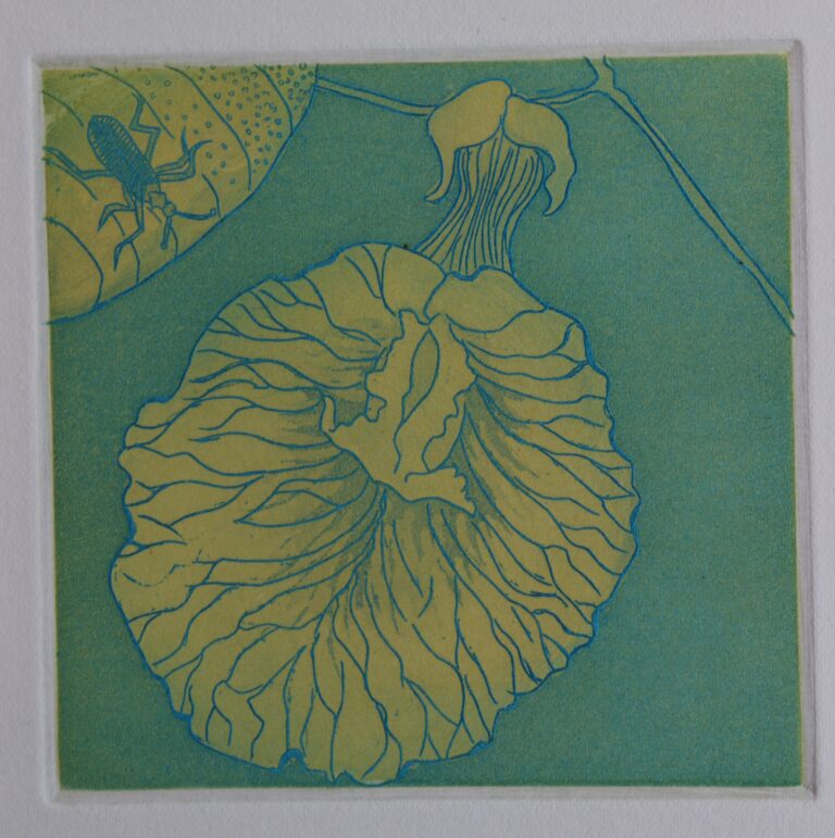 Flower series
Etching 4, 
size 3.8x3.8 inch
Year: 2017